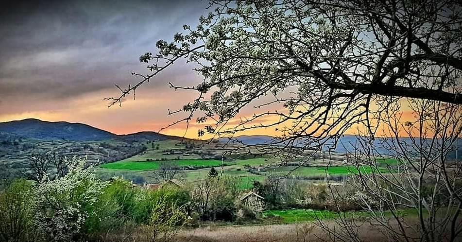 Cob Camp Bed & Breakfast Dŭbravite Dış mekan fotoğraf