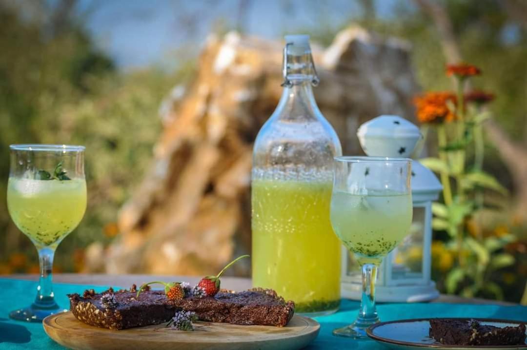 Cob Camp Bed & Breakfast Dŭbravite Dış mekan fotoğraf