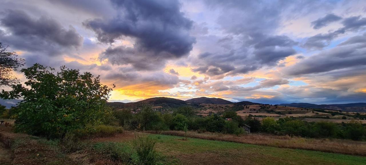 Cob Camp Bed & Breakfast Dŭbravite Dış mekan fotoğraf